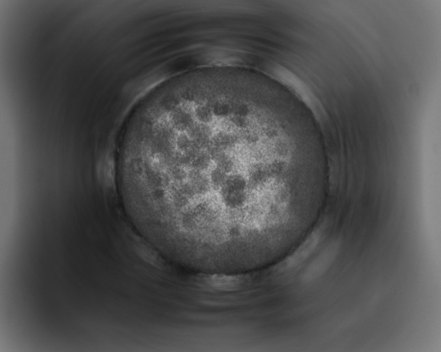 X0000092100827200710031211