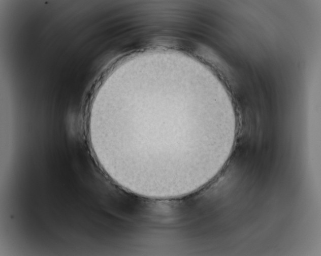 X0000092100828200710031211