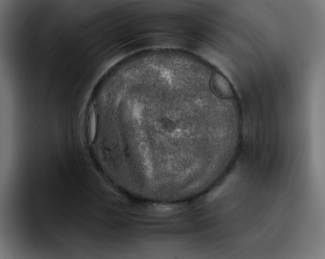 X0000092100829200710031211