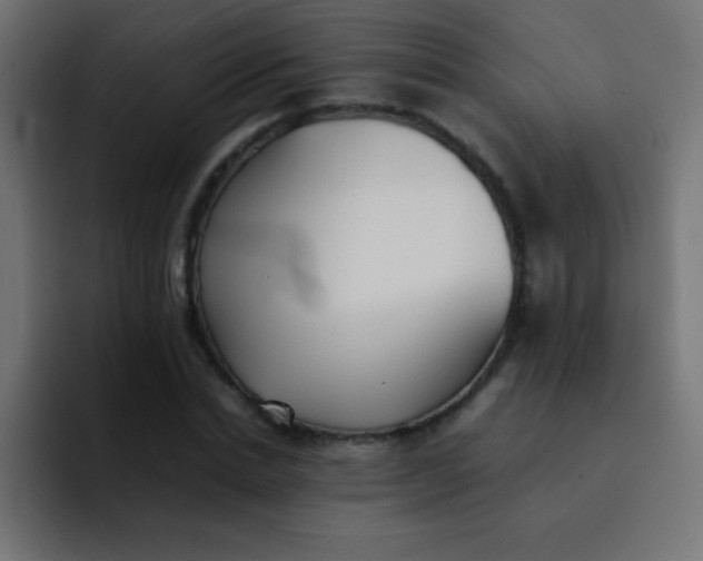 X0000092100830200710031211