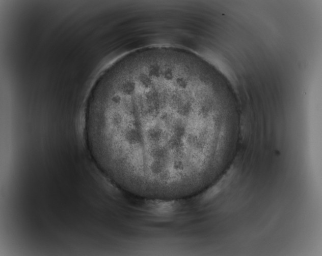 X0000092100831200710031211