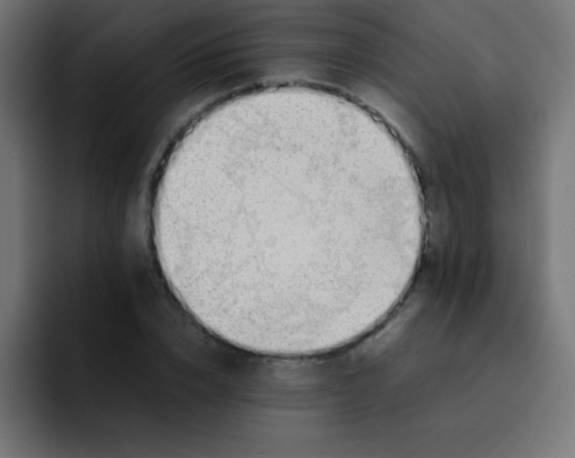 X0000092100832200710031211