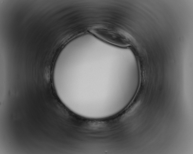 X0000092100833200710031211