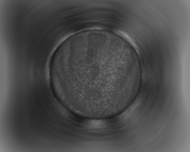 X0000092100835200710031211