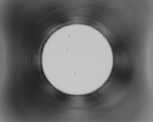 X0000092100836200710031211