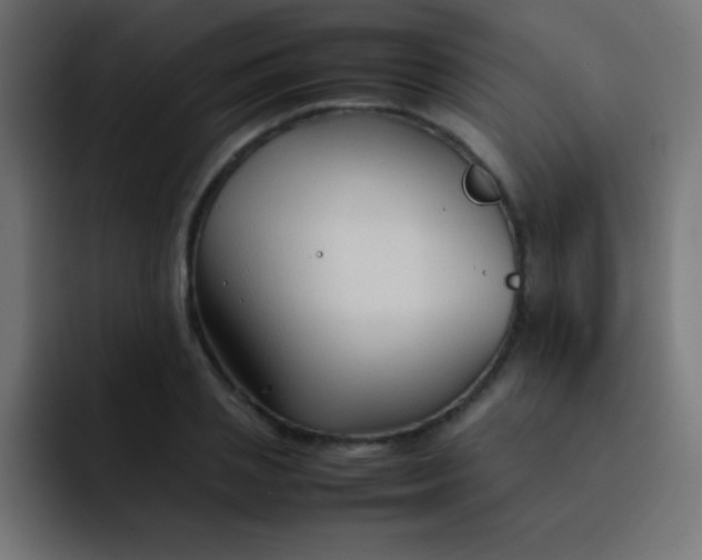 X0000092100837200710031211