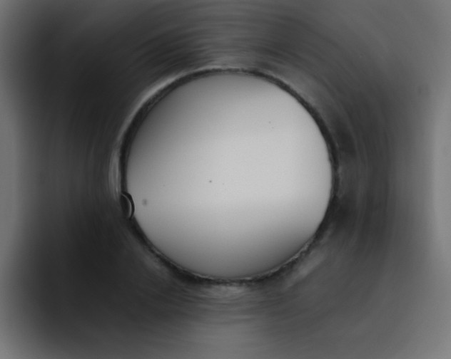 X0000092100838200710031211