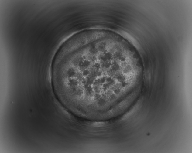 X0000092100839200710031211