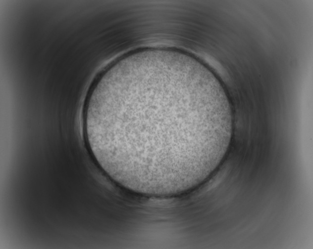 X0000092100840200710031211