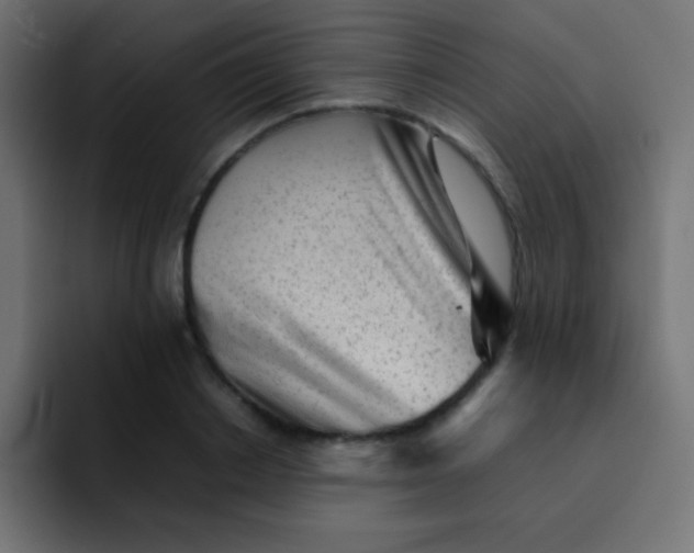 X0000092100842200710031211