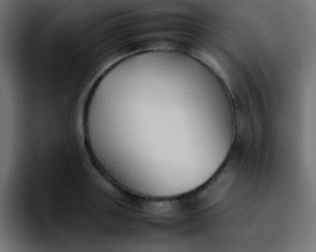 X0000092100843200710031211