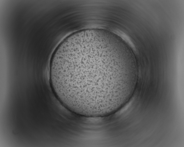 X0000092100844200710031211