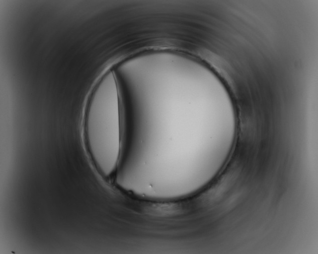 X0000092100845200710031211