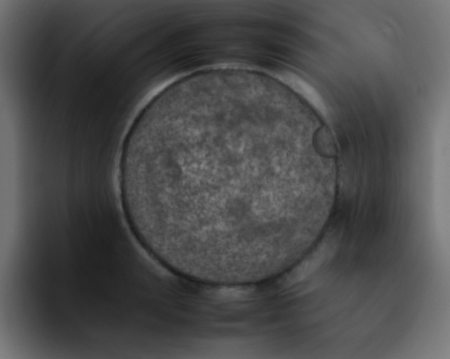 X0000092100847200710031211