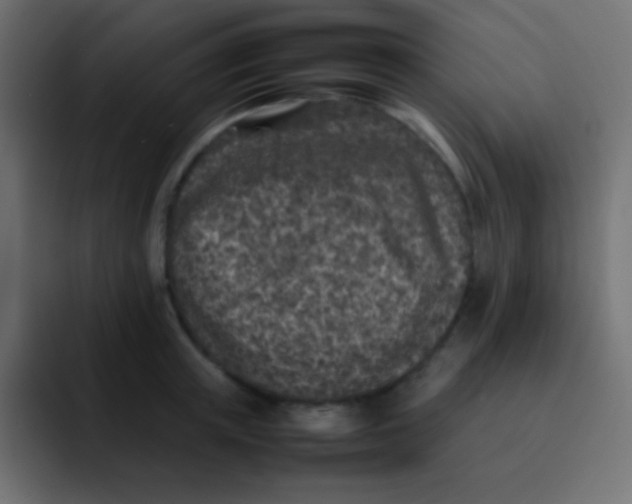 X0000092100851200710031211