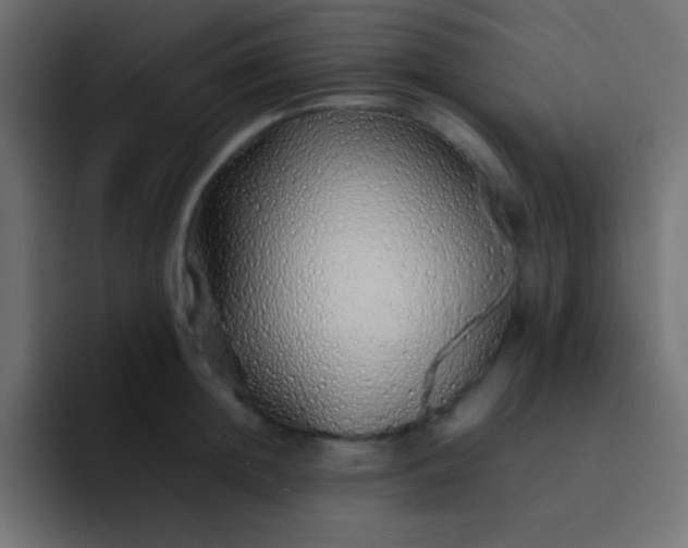 X0000092100852200710031211