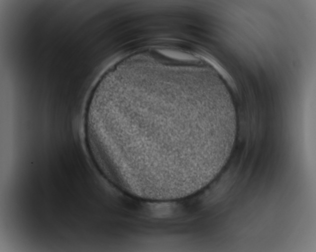 X0000092100853200710031211