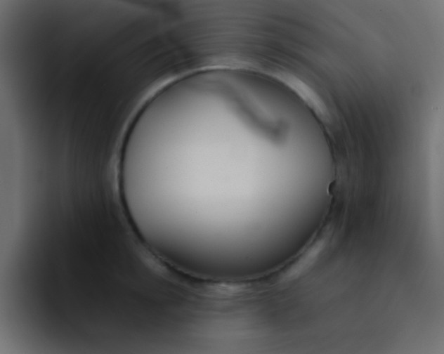 X0000092100854200710031211