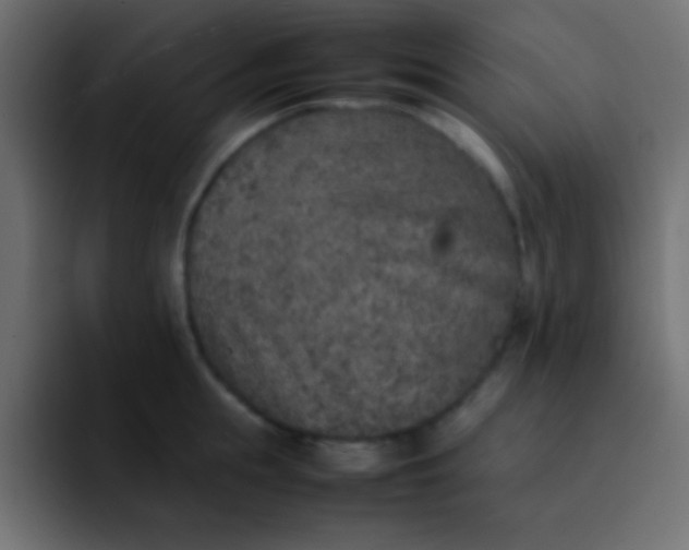 X0000092100855200710031211