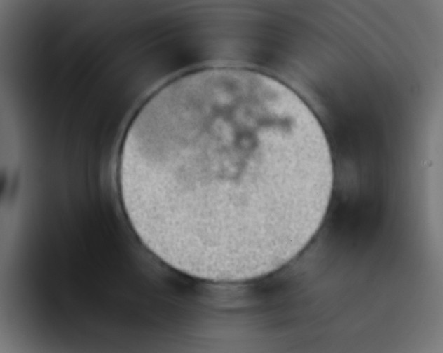 X0000092100856200710031211