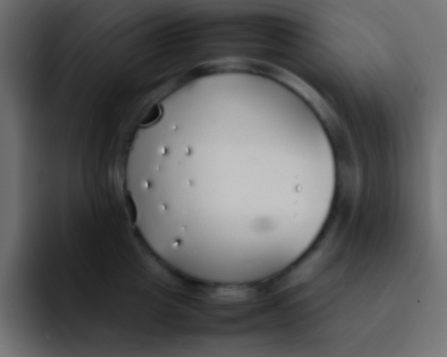 X0000092100857200710031211