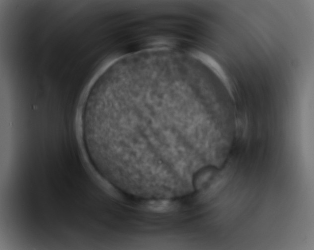 X0000092100859200710031211