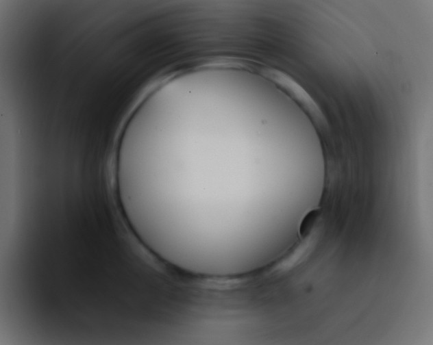 X0000092100860200710031211