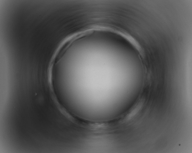 X0000092100862200710031211