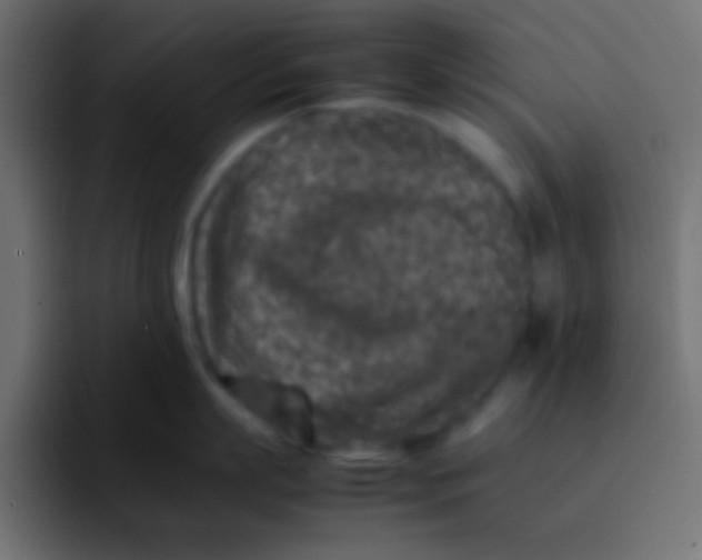 X0000092100863200710031211