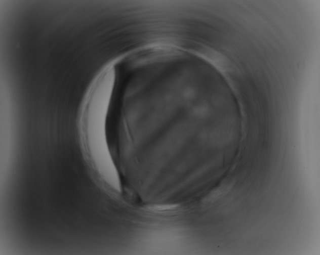 X0000092100864200710031211