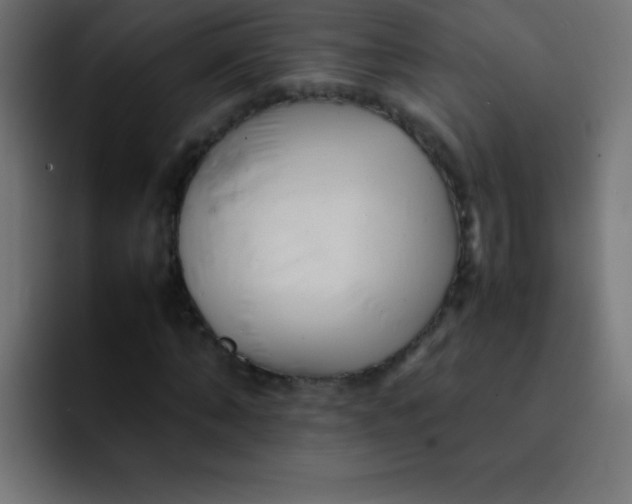 X0000092100870200710031210