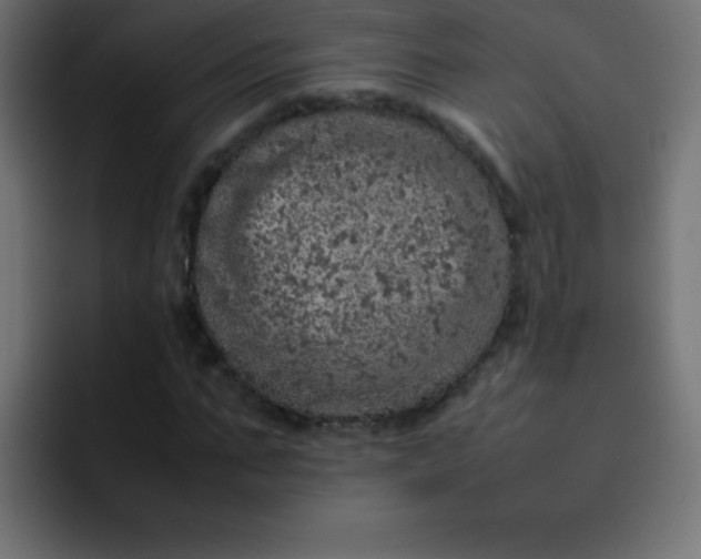 X0000092100871200710031210