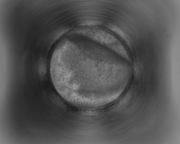 X0000092100874200710031210