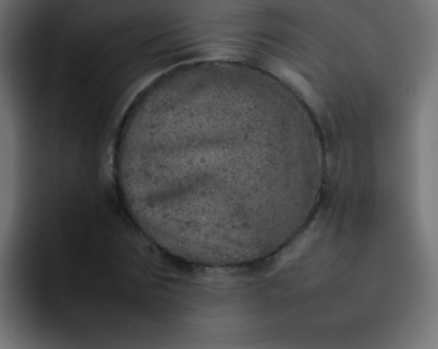 X0000092100875200710031210