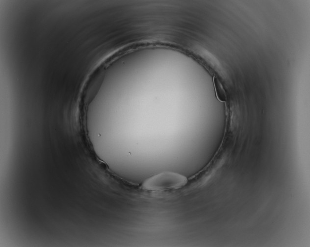 X0000092100876200710031210