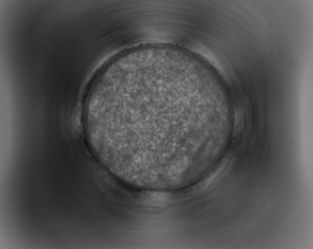 X0000092100878200710031210