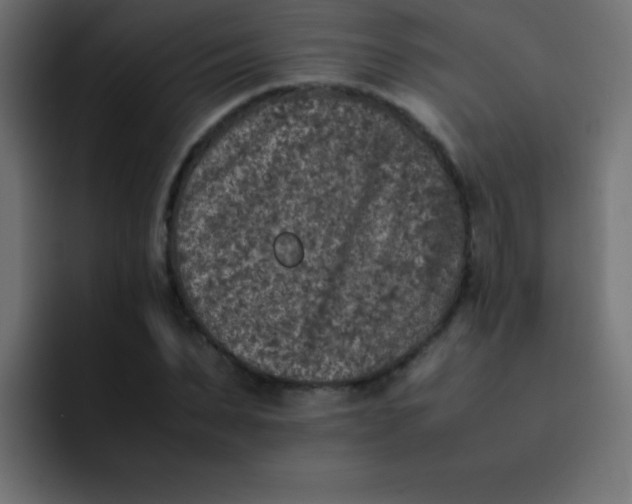 X0000092100879200710031210