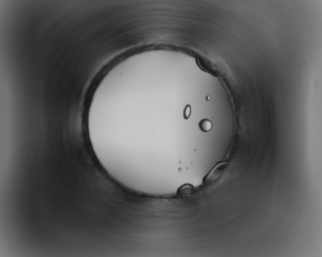 X0000092100880200710031210