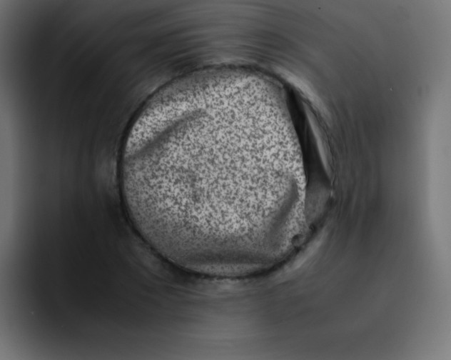 X0000092100881200710031210