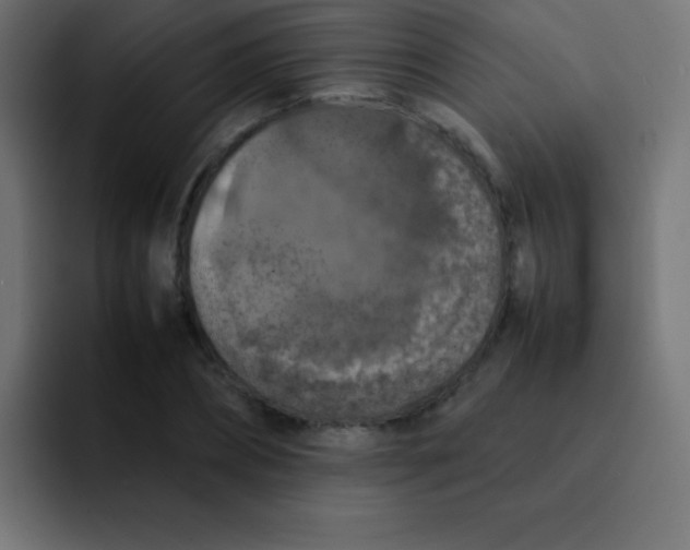 X0000092100882200710031210