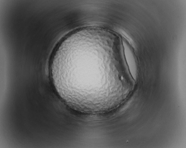 X0000092100883200710031210