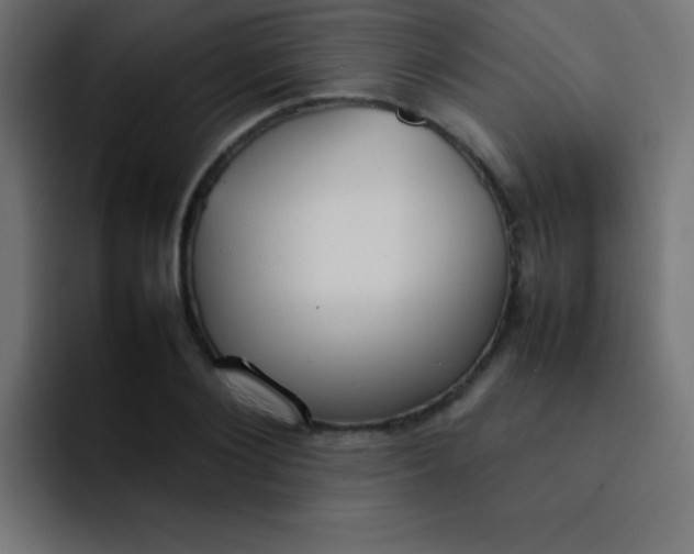 X0000092100884200710031210