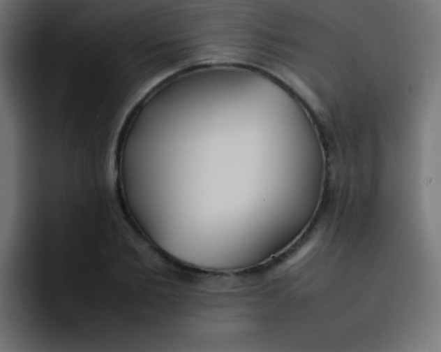 X0000092100885200710031210