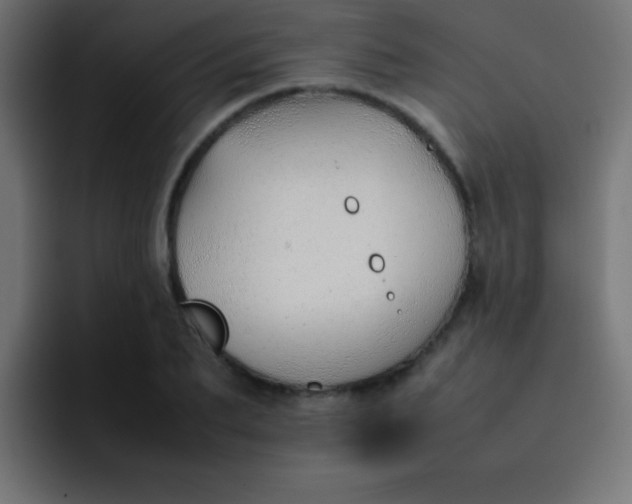 X0000092100887200710031210