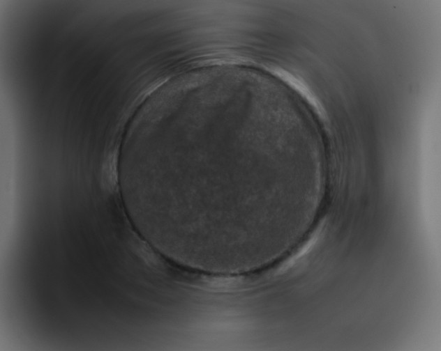 X0000092100889200710031210