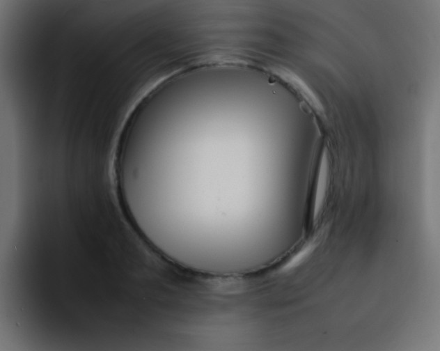 X0000092100893200710031210