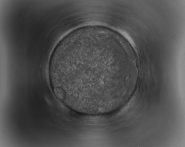 X0000092100895200710031210