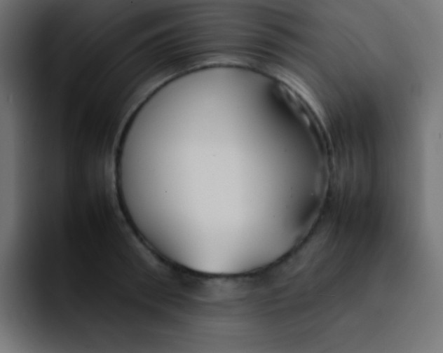 X0000092100898200710031210