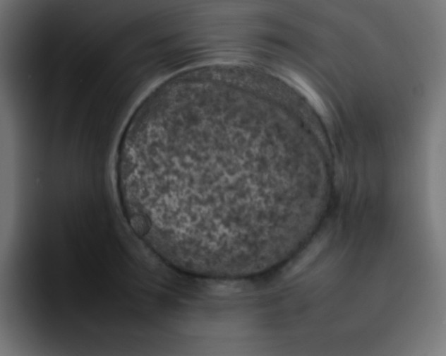 X0000092100899200710031210