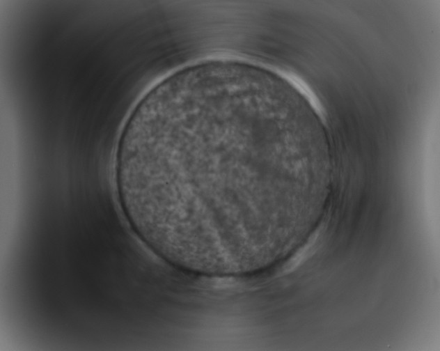 X0000092100903200710031210